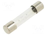 Fuse: fuse; 800mA; 250VAC; time-lag; glass; 6.3x32mm; TSA; brass OPTIFUSE
