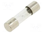 Fuse: fuse; 1.25A; 250VAC; time-lag; glass; 5x20mm; brass; bulk OPTIFUSE