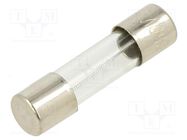 Fuse: fuse; time-lag; 100mA; 250VAC; glass; 5x20mm; brass; bulk OPTIFUSE