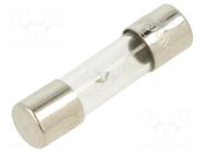 Fuse: fuse; 10A; 250VAC; time-lag; glass; 5x20mm; brass; bulk OPTIFUSE