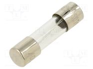 Fuse: fuse; time-lag; 125mA; 250VAC; glass; 5x20mm; brass; bulk OPTIFUSE