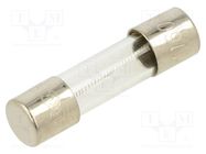 Fuse: fuse; time-lag; 160mA; 250VAC; glass; 5x20mm; brass; bulk OPTIFUSE