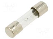 Fuse: fuse; 8A; 250VAC; time-lag; glass; 5x20mm; brass; bulk OPTIFUSE