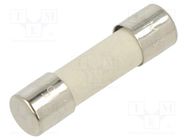 Fuse: fuse; medium time-lag; 3.15A; 250VAC; ceramic,cylindrical SCHURTER