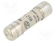 Fuse: fuse; gR,ultra rapid; 25A; 690VAC; 10x38mm MERSEN