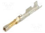 SL Crimp Terminal, Series 70058, Female, 24-22 AWG, 0.7µm Au 