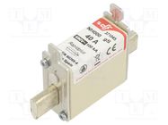 Fuse: fuse; gS; 40A; 690VAC; 440VDC; NH000 DF ELECTRIC