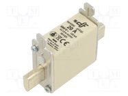 Fuse: fuse; gG; 20A; 500VAC; 250VDC; ceramic; NH000 DF ELECTRIC