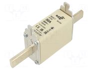 Fuse: fuse; 50A; 500VAC; 250VDC; gG; ceramic; NHC1 DF ELECTRIC