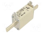 Fuse: fuse; 63A; 500VAC; 250VDC; gG; ceramic; NHC1 DF ELECTRIC
