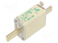 Fuse: fuse; 125A; 500VAC; aM; ceramic; NH0 DF ELECTRIC