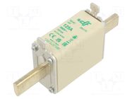 Fuse: fuse; 125A; 500VAC; aM; ceramic; NH0 DF ELECTRIC