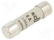 Fuse: fuse; gG; 6A; 500VAC; 250VDC; ceramic,cylindrical,industrial DF ELECTRIC