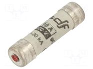 Fuse: fuse; 10A; 400VAC; gG; ceramic,cylindrical,industrial DF ELECTRIC