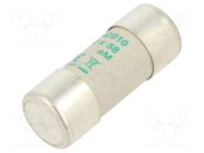 Fuse: fuse; 10A; 690VAC; aM; ceramic,cylindrical,industrial DF ELECTRIC