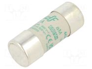 Fuse: fuse; 12A; 690VAC; aM; ceramic,cylindrical,industrial DF ELECTRIC