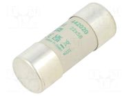 Fuse: fuse; 20A; 690VAC; aM; ceramic,cylindrical,industrial DF ELECTRIC