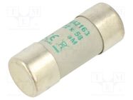 Fuse: fuse; aM; 63A; 690VAC; ceramic,cylindrical,industrial DF ELECTRIC