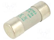Fuse: fuse; 63A; 690VAC; aM; ceramic,cylindrical,industrial DF ELECTRIC