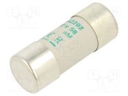 Fuse: fuse; aM; 2A; 690VAC; ceramic,cylindrical,industrial DF ELECTRIC