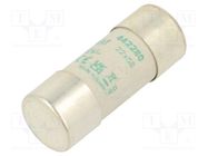 Fuse: fuse; aM; 80A; 500VAC; ceramic,cylindrical,industrial DF ELECTRIC