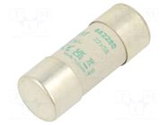 Fuse: fuse; 80A; 500VAC; aM; ceramic,cylindrical,industrial DF ELECTRIC
