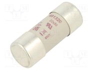 Fuse: fuse; aR; 50A; 690VAC; 700VDC; 22x58mm DF ELECTRIC