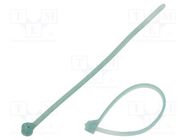 Cable tie; with a metal clasp; L: 92mm; W: 2.3mm; E/TFE; UL94V-0 ABB