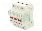 Fuse holder; cylindrical fuses; 10.3x38mm; 30A; 600V; Poles: 3 LITTELFUSE