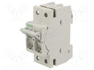 Fuse disconnector; D01; for DIN rail mounting; 13A; Poles: 1+N SCHNEIDER ELECTRIC