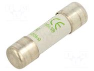 Fuse: fuse; 8A; 500VAC; aM; ceramic; 10x38mm SCHNEIDER ELECTRIC