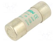 Fuse: fuse; 100A; 500VAC; aM; ceramic; 22x58mm SCHNEIDER ELECTRIC