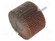 Grinding pin; Granularity: 120; Mounting: rod 6mm; Ø80x50mm PG PROFESSIONAL