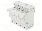 Fuse base; for DIN rail mounting; Poles: 3+N SCHNEIDER ELECTRIC