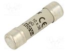 Fuse: fuse; gG,time-lag; 32A; 400VAC; cylindrical,industrial HAGER