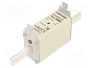 Fuse: fuse; gG; 100A; 690VAC; 400VDC; ceramic,industrial; NH1 MERSEN