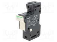 Fuse base; for DIN rail mounting; Poles: 1 SCHNEIDER ELECTRIC