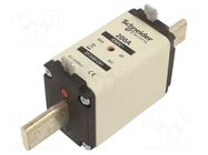 Fuse: fuse; 200A; 690VAC; gG; ceramic; NH1 SCHNEIDER ELECTRIC