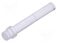 Fiber for LED; Ø3mm; L: 19mm; round; Front: flat; straight; PLP1 BIVAR