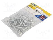 Rivet; aluminium; Rivet diam: 4.8mm; L.rivet: 10mm; 100pcs. RAPID