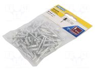 Rivet; aluminium; Rivet diam: 4.8mm; L.rivet: 10mm; 100pcs. RAPID