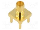 Socket; Mini SMB; male; straight; 75Ω; THT; on PCBs; PTFE; Mat: brass AMPHENOL RF