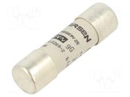 Fuse: fuse; 25A; 500VAC; gG; ceramic; 14x51mm SCHNEIDER ELECTRIC