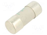 Fuse: fuse; 125A; 400VAC; aM; ceramic; 22x58mm SCHNEIDER ELECTRIC