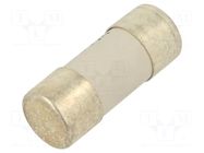 Fuse: fuse; 25A; 690VAC; gG; ceramic; 22x58mm SCHNEIDER ELECTRIC
