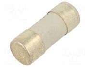 Fuse: fuse; 25A; 690VAC; gG; ceramic; 22x58mm SCHNEIDER ELECTRIC