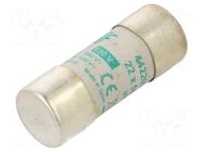 Fuse: fuse; 6A; 690VAC; aM; ceramic,cylindrical,industrial DF ELECTRIC