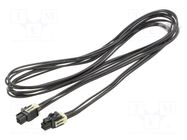 PIN: 4; 2.5mm MOLEX