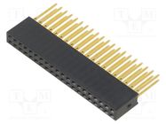 Socket; pin strips; female; 2.54mm; PIN: 40; THT; on PCBs; straight HARWIN