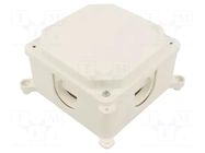 Enclosure: junction box; X: 103mm; Y: 103mm; Z: 60mm; wall mount JONEX